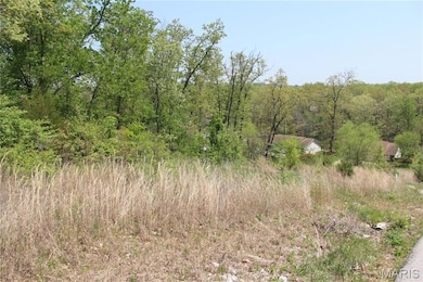 0 Trace Dr unit 22021174, Saint Robert, MO 65584 - photo 3