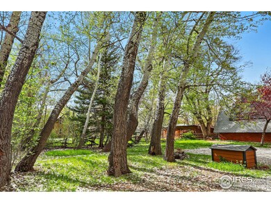 A majestic stand of poplars welcomes you home and buffers the property from the street.