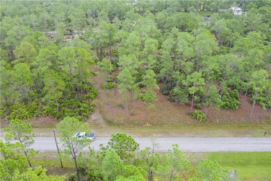 2210 Truman Ave, Alva, FL 33920 - photo 4