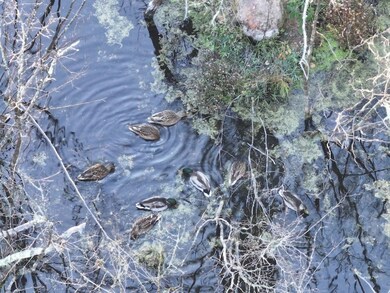 0 Roberts Lake Rd unit 25758611, Laona, WI 54541 - photo 6