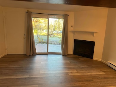 37 Windsor Hill Way unit 99, Waterville Valley, NH 03215 - photo 5