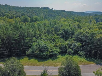 193 Highway, Chickamauga, GA 30707 - photo 4