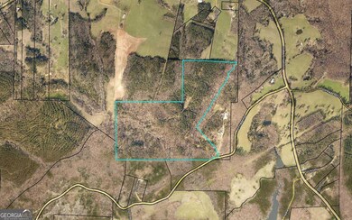 0 Lipham Rd unit 10505011, Franklin, GA 30217 - photo 7