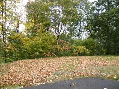Yard/Garden.