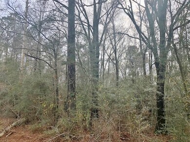 000 Old Hwy 24, McComb, MS 39648 - photo 6