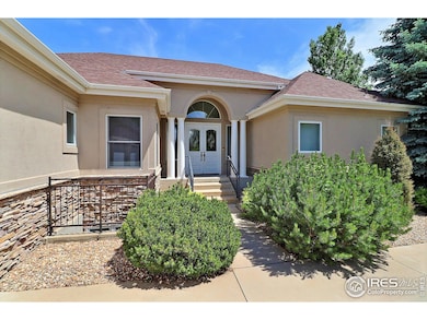 Let The Excitement Begin!