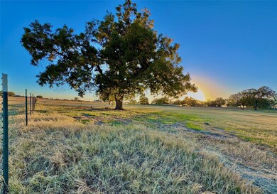 14114 Howard Lake Ct, Lipan, TX 76462 - photo 6