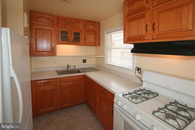 6927 Quander Rd, Alexandria, VA 22307 - photo 4