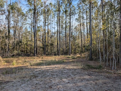0 Breakwater Loop unit 25694794, Kingsland, GA 31548 - photo 4