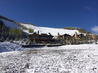 Snow View 7