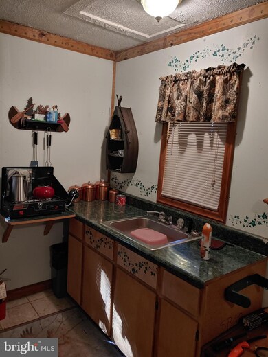 453 Walters Ln, Mathias, WV 26812 - photo 6