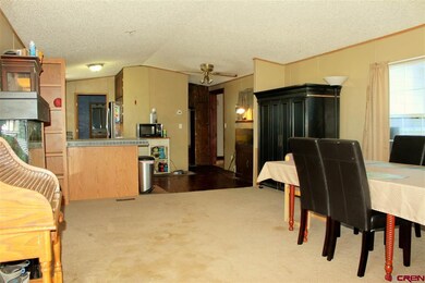 S County Road 4, Alamosa, CO 81101 - photo 4