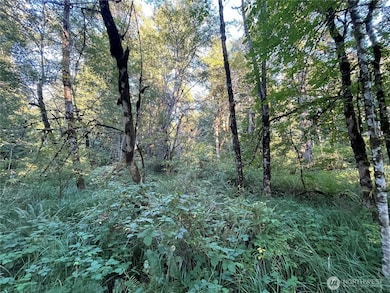 8900 Adams Ln NW, Olympia, WA 98502 - photo 6