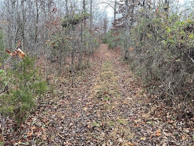 Madison 244 County Road 244, Fredericktown, MO 63645 - photo 3