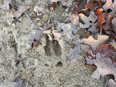 4061 S 177th W, Sand Springs, OK 74063 - photo 6