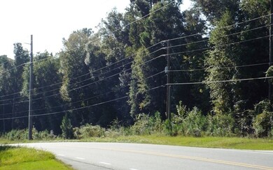 TBD Lake Jeffery, Lake City, FL 32055 - photo 3