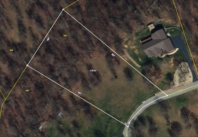 0 Tunnie Pt, Lot 229, aerial, closer