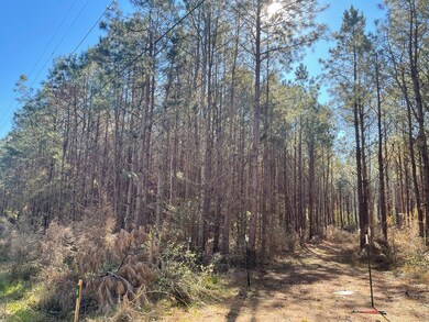 LOT 2 Cr Connerly Rd, Other, MS 39641 - photo 2