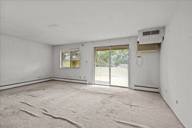 1206 E Fairview St unit 305, Arlington Heights, IL 60005 - photo 3