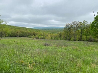 15106 Trace Branch Rd, West Fork, AR 72774 - photo 4