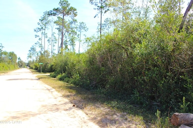 0 Gardenia St unit 780786, Fountain, FL 32438 - photo 7