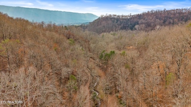 158 & 168 County Road 484, Englewood, TN 37329 - photo 4