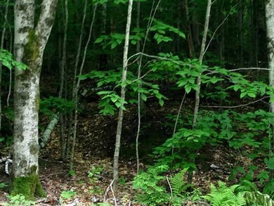 0 Bonney Rd unit 1145846, Sumner, ME 04270 - photo 5