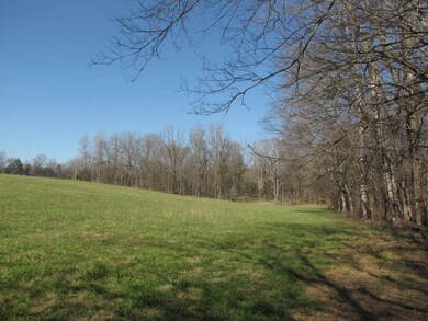 0 Holman Mill Rd unit 91539, 8, Newlin, NC 27349 - photo 4