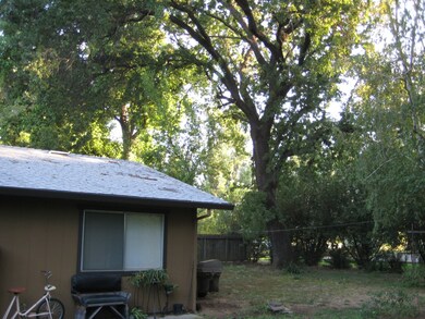 backyard #2