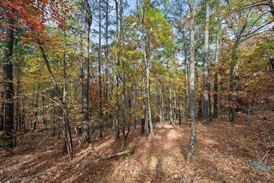 0 Southern Hills Cir, Broken Bow, OK 74728 - photo 4