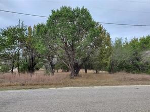 4027 Whitecrest Dr, Whitney, TX 76692 - photo 2