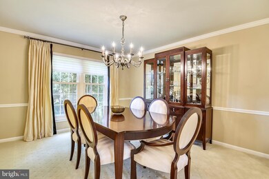 9404 Althea Ct, Potomac, MD 20854 - photo 6