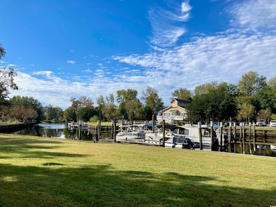 212 Blue Wing Ct unit Lot 25 Blossom II, Conway, SC 29527 - photo 2