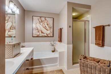 Soaking Tub / Stand-alone Shower