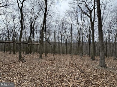 0 High Mountain View Rd, Three Chrs, WV 26757 - photo 3