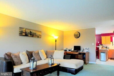 217 Frazer Dr, Purcellville, VA 20132 - photo 5