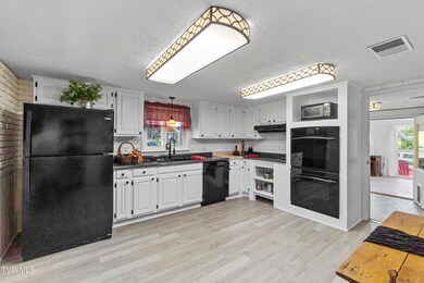 1005 Old Snapps Ferry Rd, Chuckey, TN 37641 - photo 4