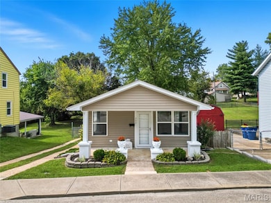 733 Warne St, Festus, MO 63028 - photo 4