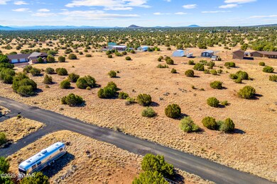 8487AlpinePl-ShowLow-AZ-3