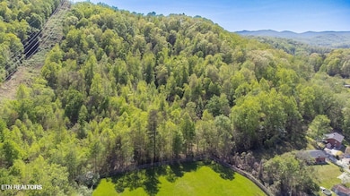 20250211184128450261000000-o