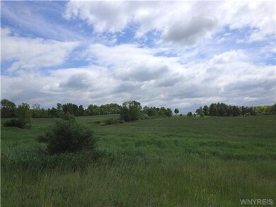 Other Land