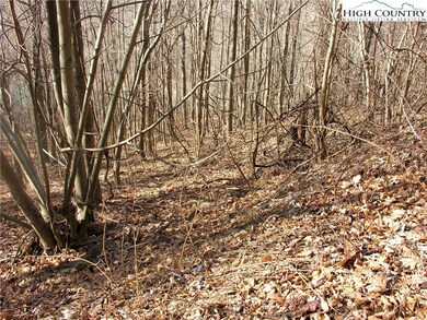 Flat area follows line of road and allows for driv