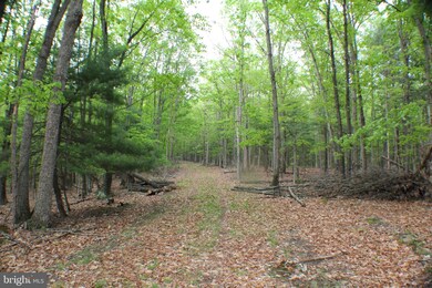 24.18 Acres Pumpkin Center Rd, Dorcas, WV 26847 - photo 7