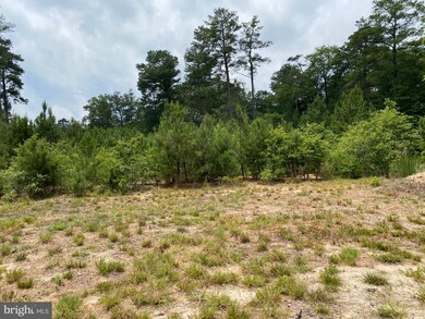 30822 White Cypress Cove, Laurel, DE 19956 - photo 6