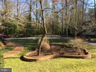 23235 Scotch Pine Ct, California, MD 20619 - photo 6