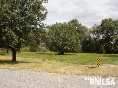 195 Jones Rd, Harrisburg, IL 62946 - photo 3