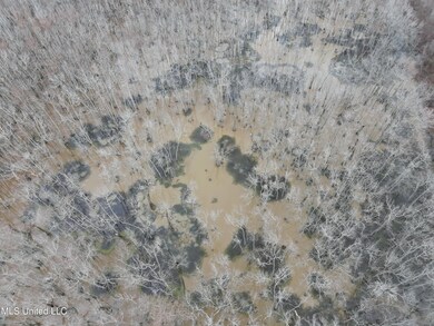 0 County Road 526 unit 4103391, Minter City, MS 38944 - photo 3