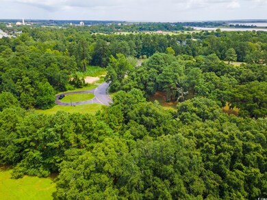 LOT 32 Oak Bay Dr unit Lot 32 Oak Bay Drive, Georgetown, SC 29440 - photo 7
