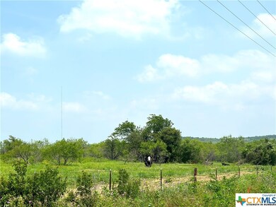 00 Tract 2 Spring Valley Rd, Other, TX 76557 - photo 7