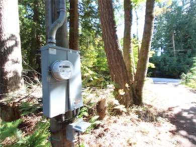 6426 Santa fe Trail, Maple Falls, WA 98266 - photo 3